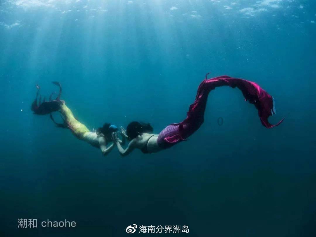 危险的社会